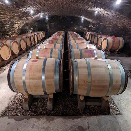 Les Gites De Cour Remond Villers-la-Faye Екстер'єр фото