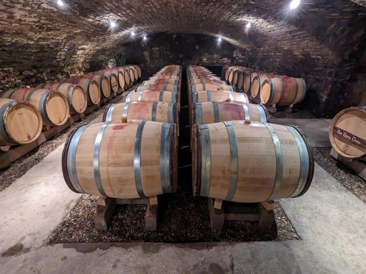 Les Gites De Cour Remond Villers-la-Faye Екстер'єр фото
