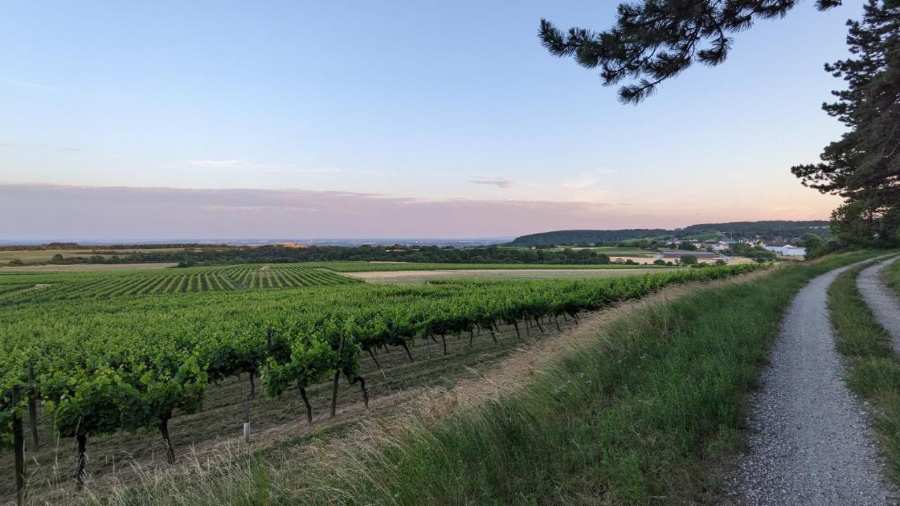 Les Gites De Cour Remond Villers-la-Faye Екстер'єр фото